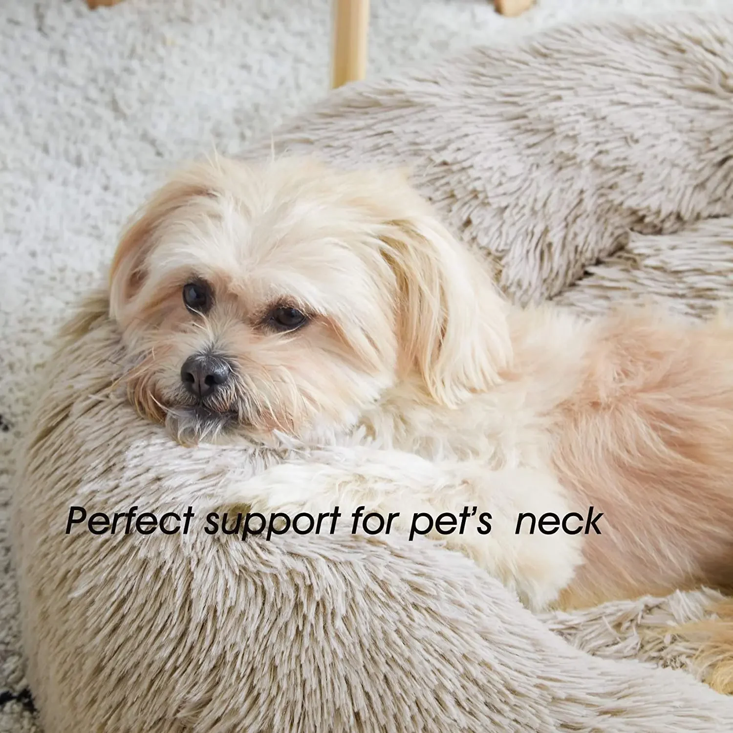 Warm Super Cat Bed Sleeping Cat Nest Soft Long Plush Best Pet Dog Bed For Dogs Basket Cushion Cat Bed Cat Mat Animals Sleeping Warm Super Cat Bed Sleeping Cat Nest Soft Long Plush Best Pet Dog Bed For Dogs Basket Cushion Cat Bed Cat Mat Animals Sleeping - Image 8