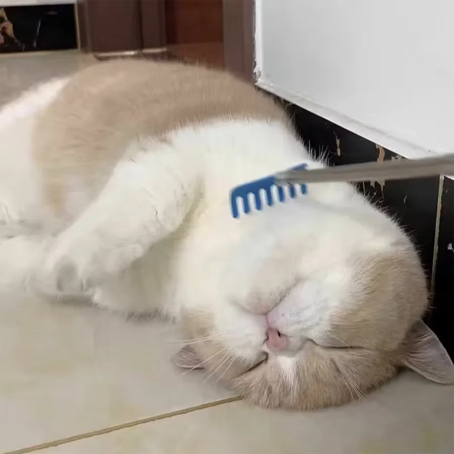 Katzen-Teasing-Stick-Spielzeug: Interaktives Massage- Und Kratzspielzeug Zur Linderung Von Langeweile Und Juckreiz – Ausziehbarer Kamm Und Bürste Für Katzenpflege Katzen-Teasing-Stick-Spielzeug: Interaktives Massage- Und Kratzspielzeug Zur Linderung Von Langeweile Und Juckreiz – Ausziehbarer Kamm Und Bürste Für Katzenpflege - Image 2