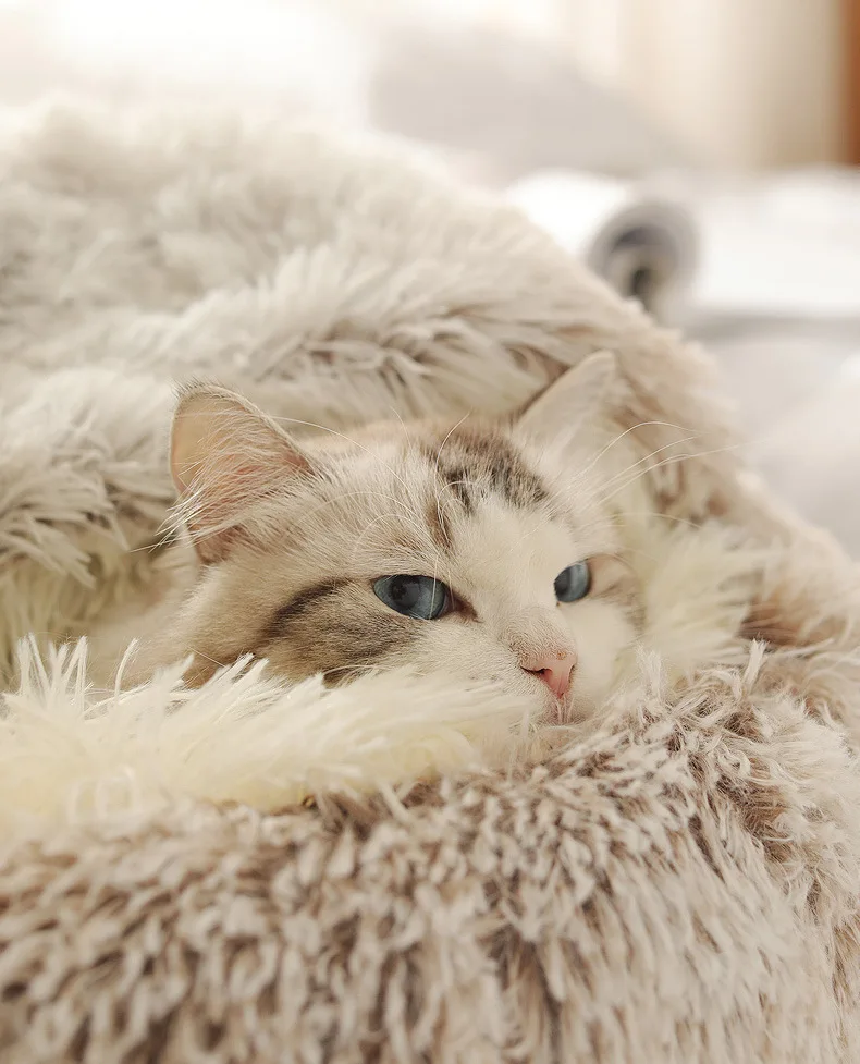 Autumn And Winter Soft Plush Pet Bed And Pet Bed Winter Warm And Cold Plush Comforter Nest Shell Cat Nest Semi-Enclosed Cat Nest Autumn And Winter Soft Plush Pet Bed And Pet Bed Winter Warm And Cold Plush Comforter Nest Shell Cat Nest Semi-Enclosed Cat Nest - Image 32