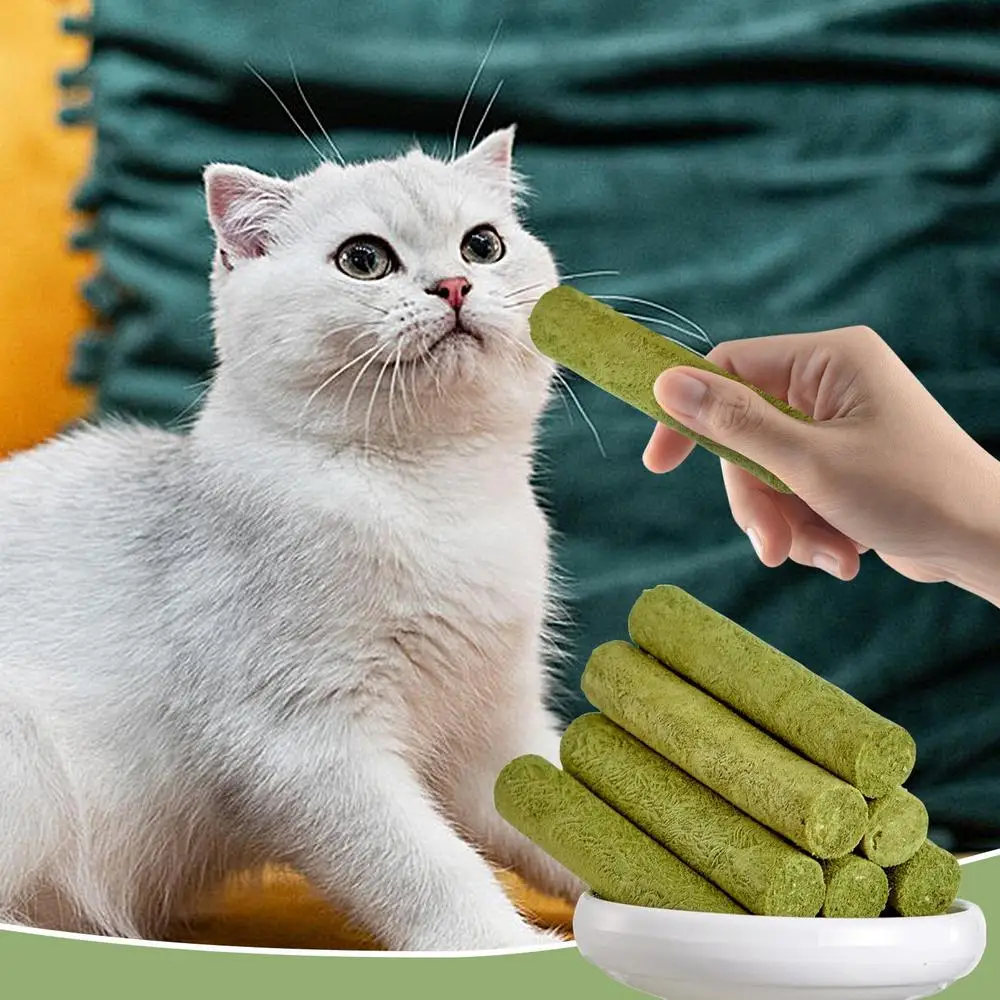 Cat Grass Sticks Grass Chewing Stick Freeze Dried Snacks Mouth Health Teething Digestive Aid Natural Teeth Cleaner Fattening Pet Cat Grass Sticks Grass Chewing Stick Freeze Dried Snacks Mouth Health Teething Digestive Aid Natural Teeth Cleaner Fattening Pet - Image 8