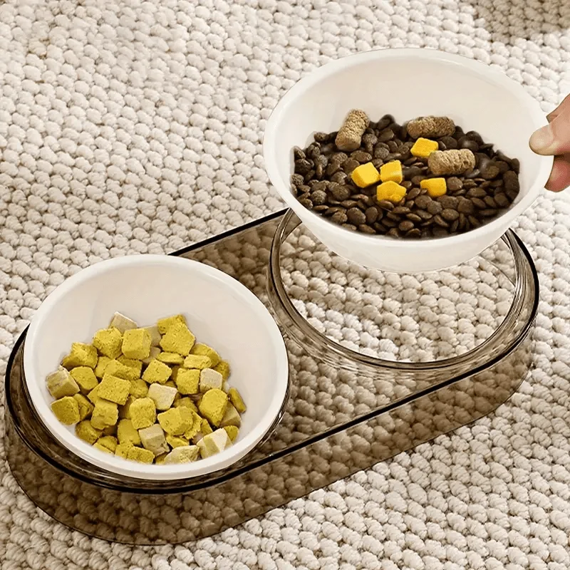 Durable Elevated Dual Bowl Feeder | Raised Pet Feeding Station With Non-Slip Stand, Easy Feeding For Cats &Amp; Small Dogs Durable Elevated Dual Bowl Feeder | Raised Pet Feeding Station With Non-Slip Stand, Easy Feeding For Cats &Amp; Small Dogs - Image 11