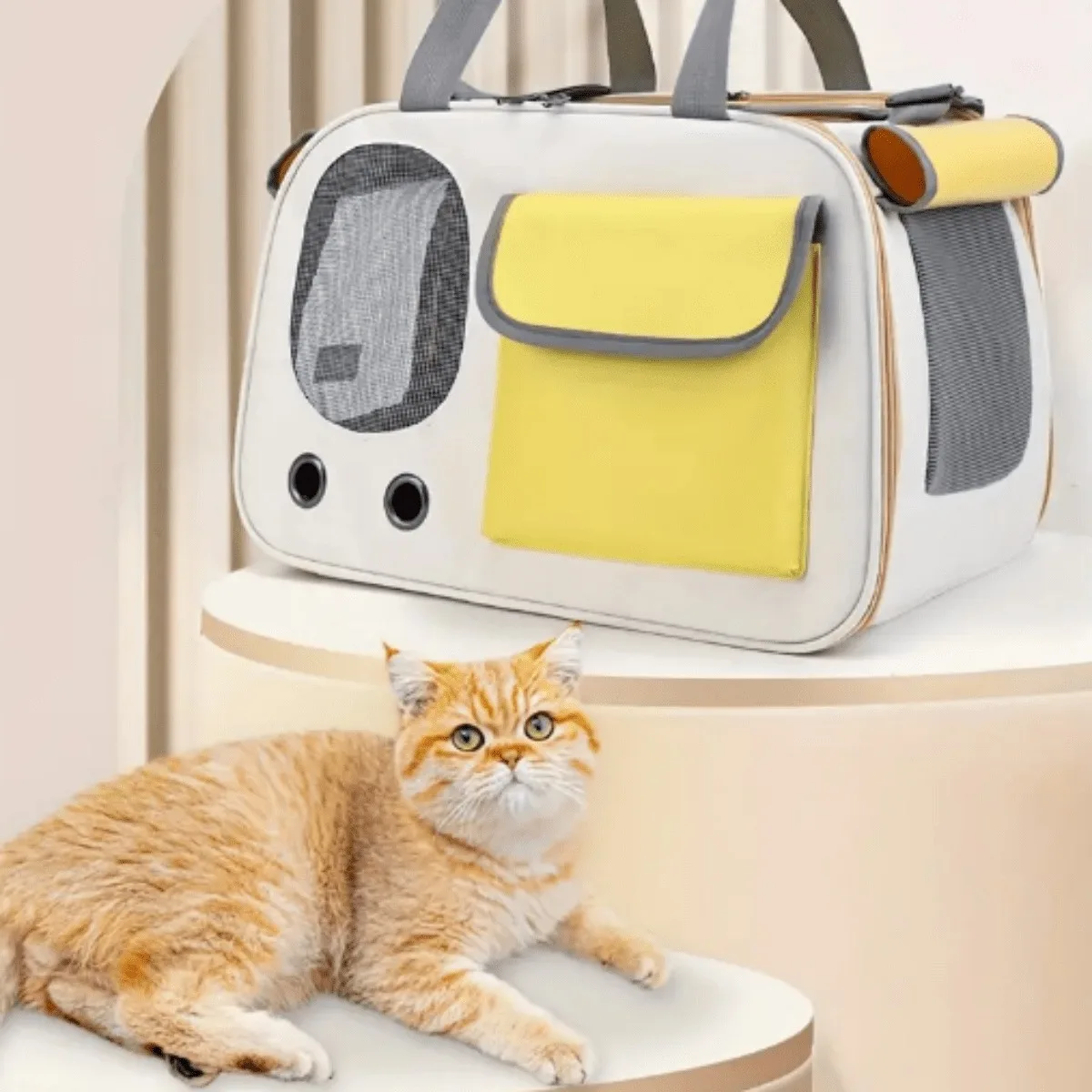 1Pcs Portable Pet Carrier Cat Bag For Cats And Dogs Ideal For Travel And Outdoor Activities Suitable For Cats And Small Dogs 1Pcs Portable Pet Carrier Cat Bag For Cats And Dogs Ideal For Travel And Outdoor Activities Suitable For Cats And Small Dogs - Image 3