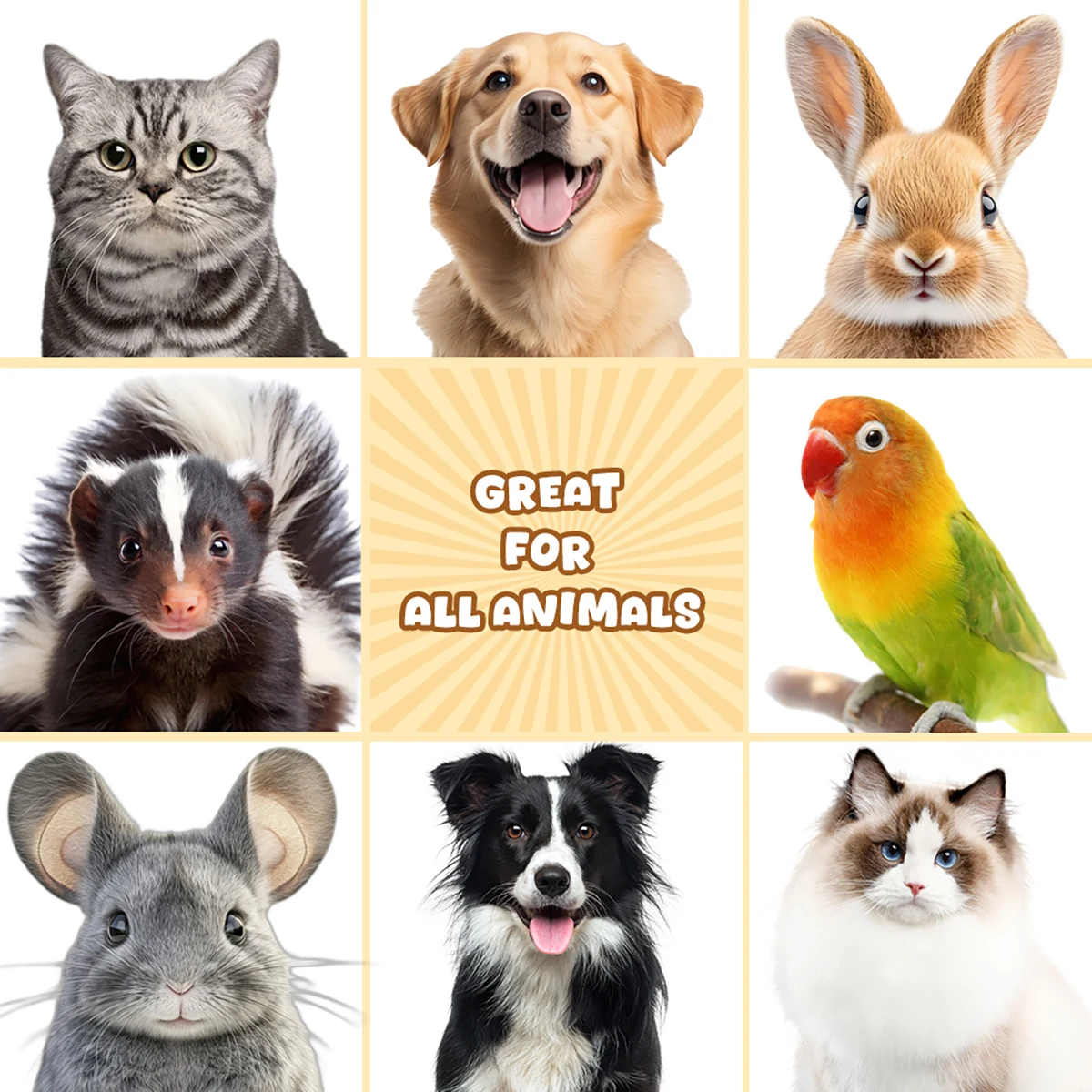 Trockenreinigungsschaum Für Haustiere Ohne Ausspülen, Hunde- Und Katzen-Duschgel, Shampoo, Deodorant Mit Haferduft, Langanhaltender Duft, Haustierzubehör Trockenreinigungsschaum Für Haustiere Ohne Ausspülen, Hunde- Und Katzen-Duschgel, Shampoo, Deodorant Mit Haferduft, Langanhaltender Duft, Haustierzubehör - Image 5