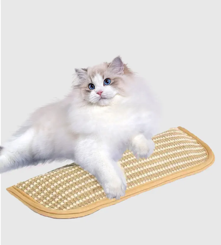 Cat Scratcher Mat Pillow Multi-Functional Cat Chew Toy Wear-Resistant Cat Scratching Toy For Kittens Adult Cats Cat Scratcher Mat Pillow Multi-Functional Cat Chew Toy Wear-Resistant Cat Scratching Toy For Kittens Adult Cats - Image 9