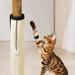 Sisal Katzenkratzmatte