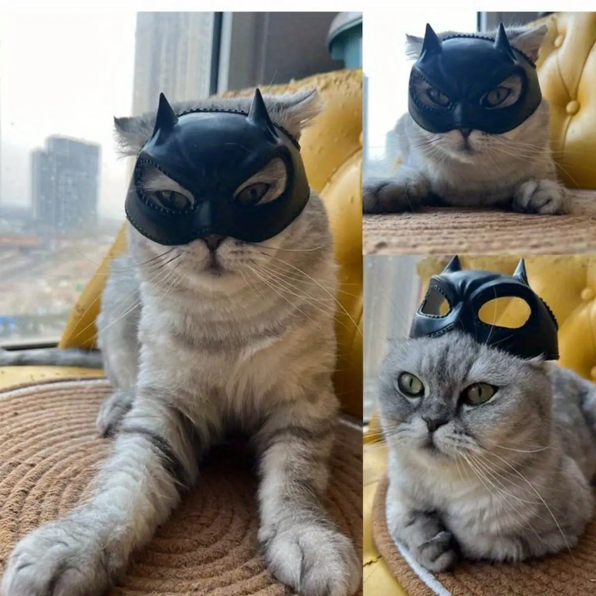Katzen-Fledermaus-Maske, Katzenkopf-Dekoration, Formschönes Haustier-Kostümzubehör, Verspielte Und Entzückende Katzenmaske Katzen-Fledermaus-Maske, Katzenkopf-Dekoration, Formschönes Haustier-Kostümzubehör, Verspielte Und Entzückende Katzenmaske - Image 3