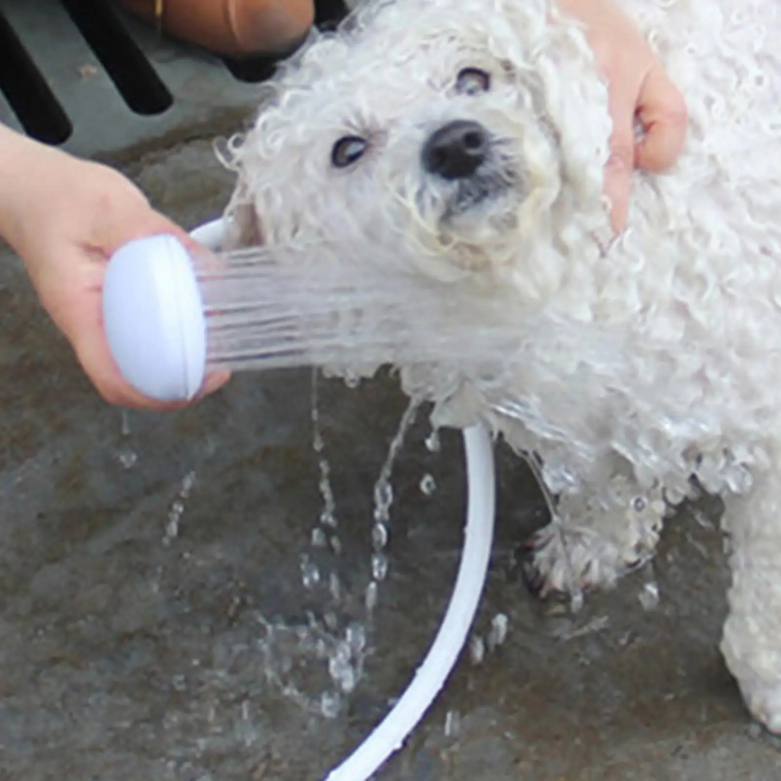 Badesprüher, Duschschlauchaufsatz Für Haustiere, Schnellanschluss, Langlebiger, Verlängerter Sprühkopf, Einfach Tragbar, Handgeführt, Für Katzen Und Hunde Badesprüher, Duschschlauchaufsatz Für Haustiere, Schnellanschluss, Langlebiger, Verlängerter Sprühkopf, Einfach Tragbar, Handgeführt, Für Katzen Und Hunde - Image 2
