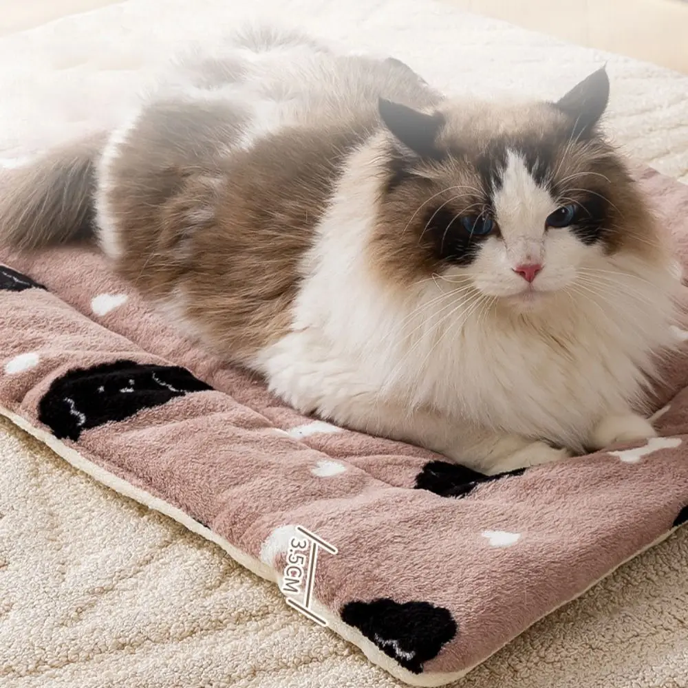 Katze Bett Matte Cartoon Katze Schlaf Matte Verdickte Warme Katze Decke Matte Weiche Korallen Fleece Haustier Nest Pad Für Hunde Welpen Katzen Katze Bett Matte Cartoon Katze Schlaf Matte Verdickte Warme Katze Decke Matte Weiche Korallen Fleece Haustier Nest Pad Für Hunde Welpen Katzen - Image 4