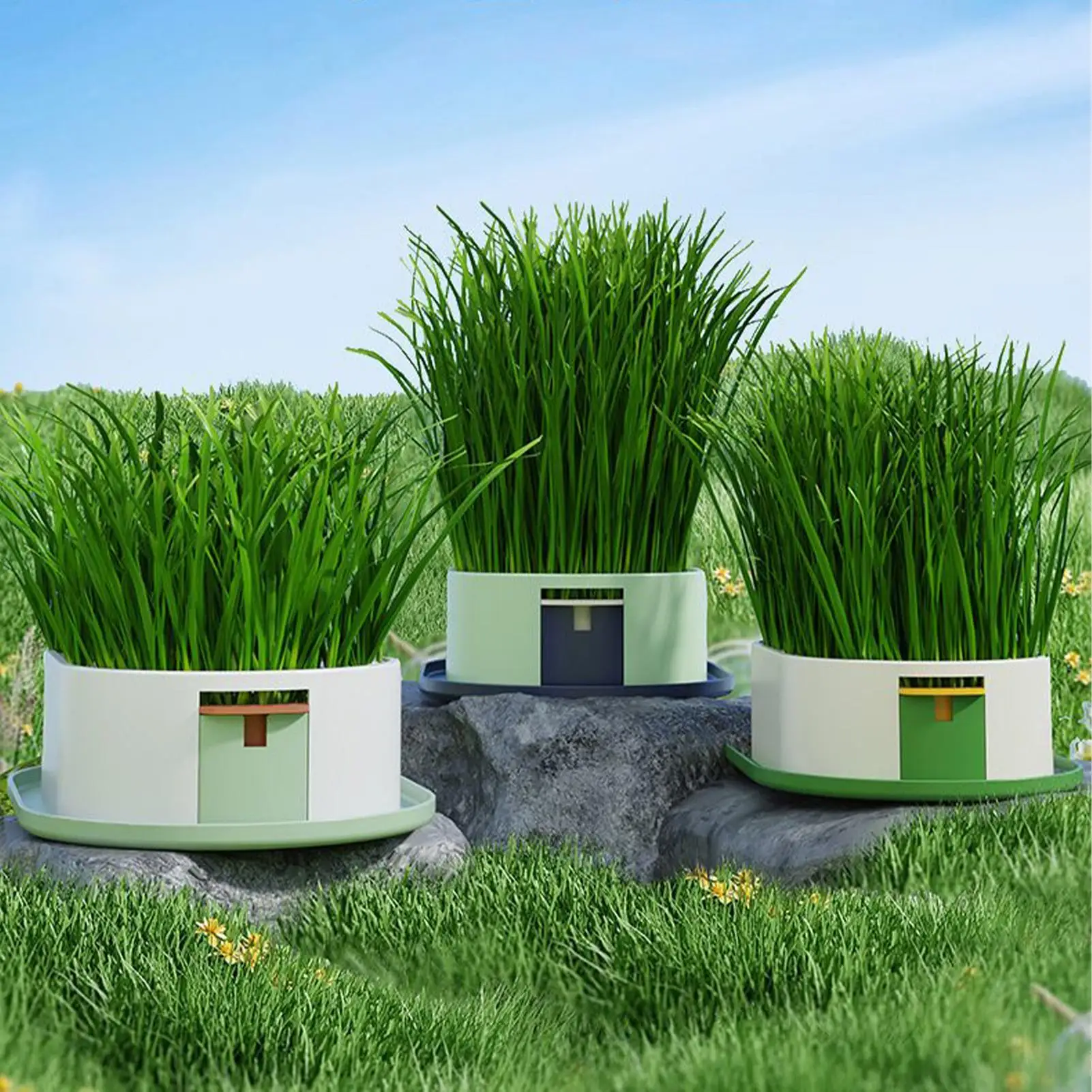 Cat Snack Grass Box Cat Catnip Grass Grow Station Soilless Planting Cat Grass Pot For Kitten Snack Pet Eating Cat Snack Grass Box Cat Catnip Grass Grow Station Soilless Planting Cat Grass Pot For Kitten Snack Pet Eating