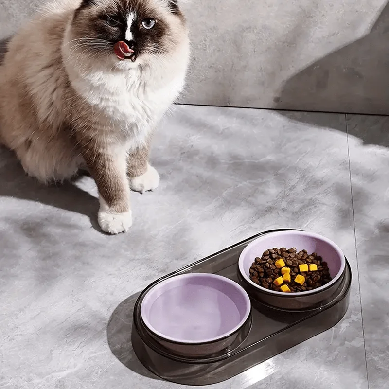 Durable Elevated Dual Bowl Feeder | Raised Pet Feeding Station With Non-Slip Stand, Easy Feeding For Cats &Amp; Small Dogs Durable Elevated Dual Bowl Feeder | Raised Pet Feeding Station With Non-Slip Stand, Easy Feeding For Cats &Amp; Small Dogs - Image 4