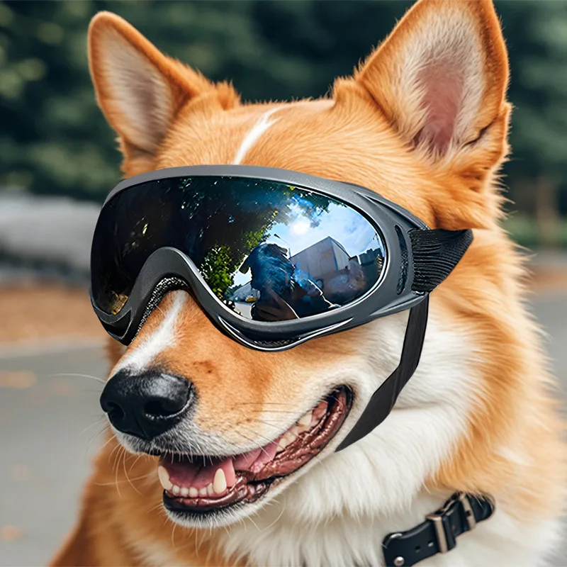 Haustier Verstellbare Hundebrille Sonnenbrille Anti-Uv-Sonnenbrille Augenschutz Schwarz Weit Verbreitete Hunde-Sonnenbrille Haustier-Hundebedarf Haustier Verstellbare Hundebrille Sonnenbrille Anti-Uv-Sonnenbrille Augenschutz Schwarz Weit Verbreitete Hunde-Sonnenbrille Haustier-Hundebedarf - Image 4