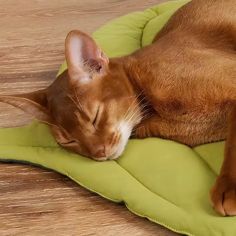1/2Pcs Leaf Shaped Cat Bed And Pet Mat Soft Washable Reversible Non-Slip Cushion For Cats And Dogs Indoor Travel Camping Pet Bed 1/2Pcs Leaf Shaped Cat Bed And Pet Mat Soft Washable Reversible Non-Slip Cushion For Cats And Dogs Indoor Travel Camping Pet Bed - Image 3