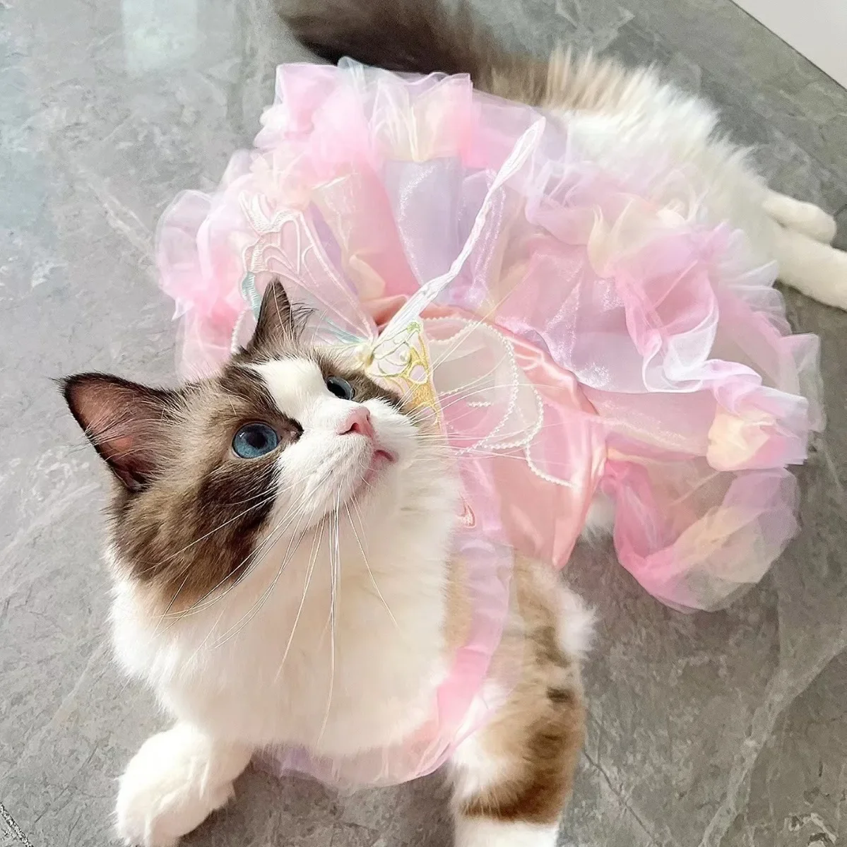Dog Cat Spring Princess Dress Lace Skirt Pet Clothing Stripe Skirt Puppy Princess Apparel Cute Puppy Clothes Pet Cat Clothes Dog Cat Spring Princess Dress Lace Skirt Pet Clothing Stripe Skirt Puppy Princess Apparel Cute Puppy Clothes Pet Cat Clothes - Image 4