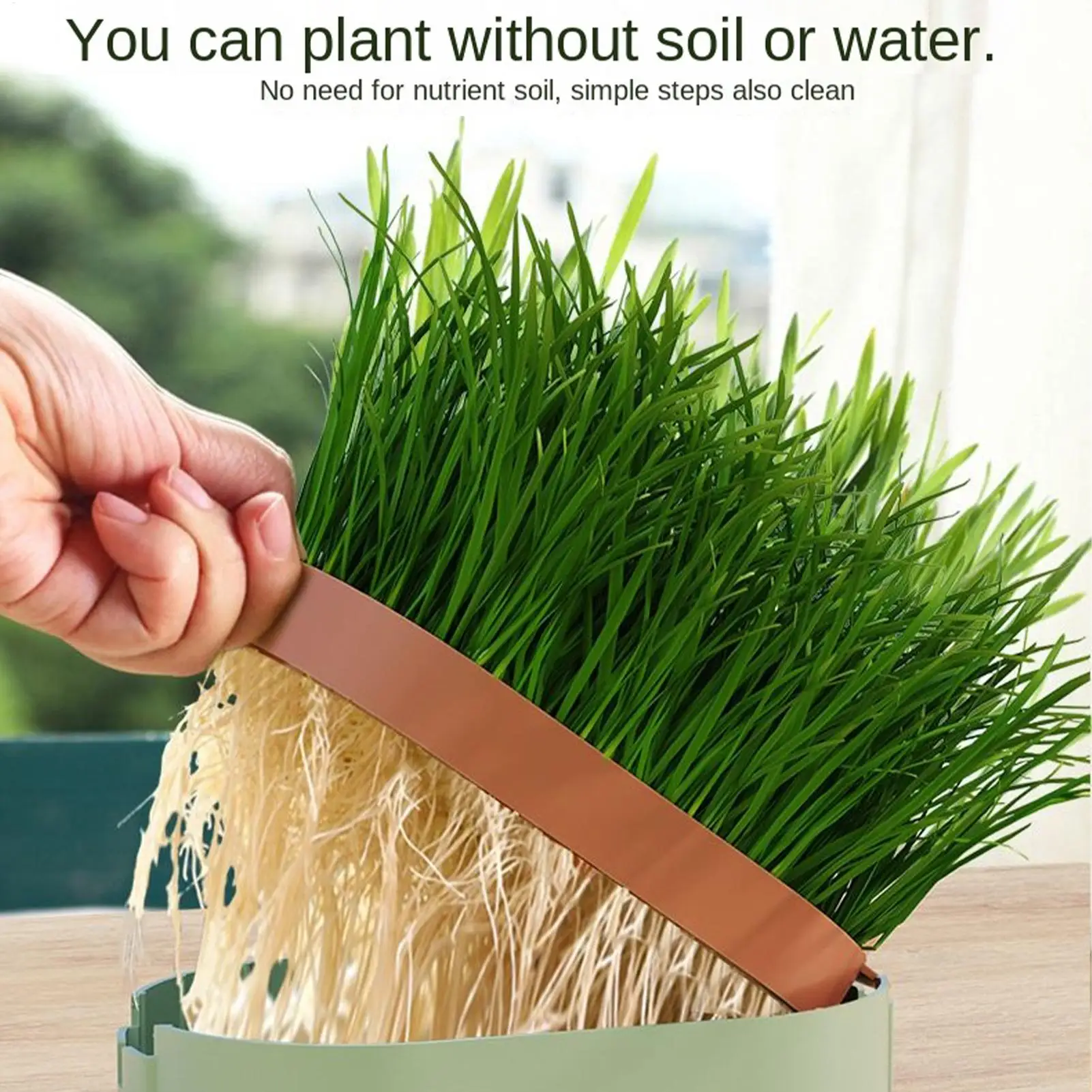 Cat Snack Grass Box Cat Catnip Grass Grow Station Soilless Planting Cat Grass Pot For Kitten Snack Pet Eating Cat Snack Grass Box Cat Catnip Grass Grow Station Soilless Planting Cat Grass Pot For Kitten Snack Pet Eating - Image 4
