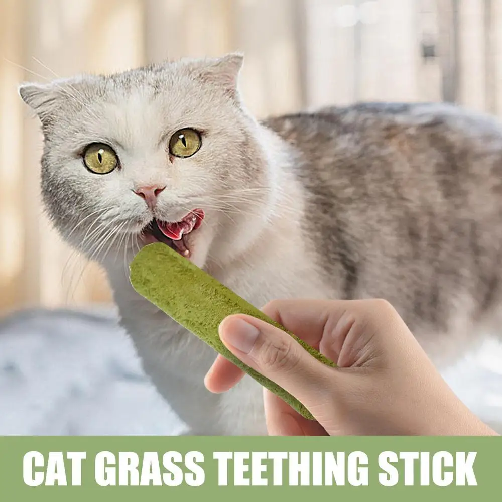 Cat Grass Sticks Grass Chewing Stick Freeze Dried Snacks Mouth Health Teething Digestive Aid Natural Teeth Cleaner Fattening Pet Cat Grass Sticks Grass Chewing Stick Freeze Dried Snacks Mouth Health Teething Digestive Aid Natural Teeth Cleaner Fattening Pet - Image 20