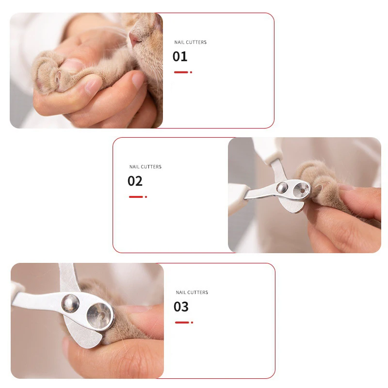 Katzen Nagelschere Mit Rundem Loch Für Hunde Und Haustierpflege Katzen Nagelschere Mit Rundem Loch Für Hunde Und Haustierpflege - Image 3