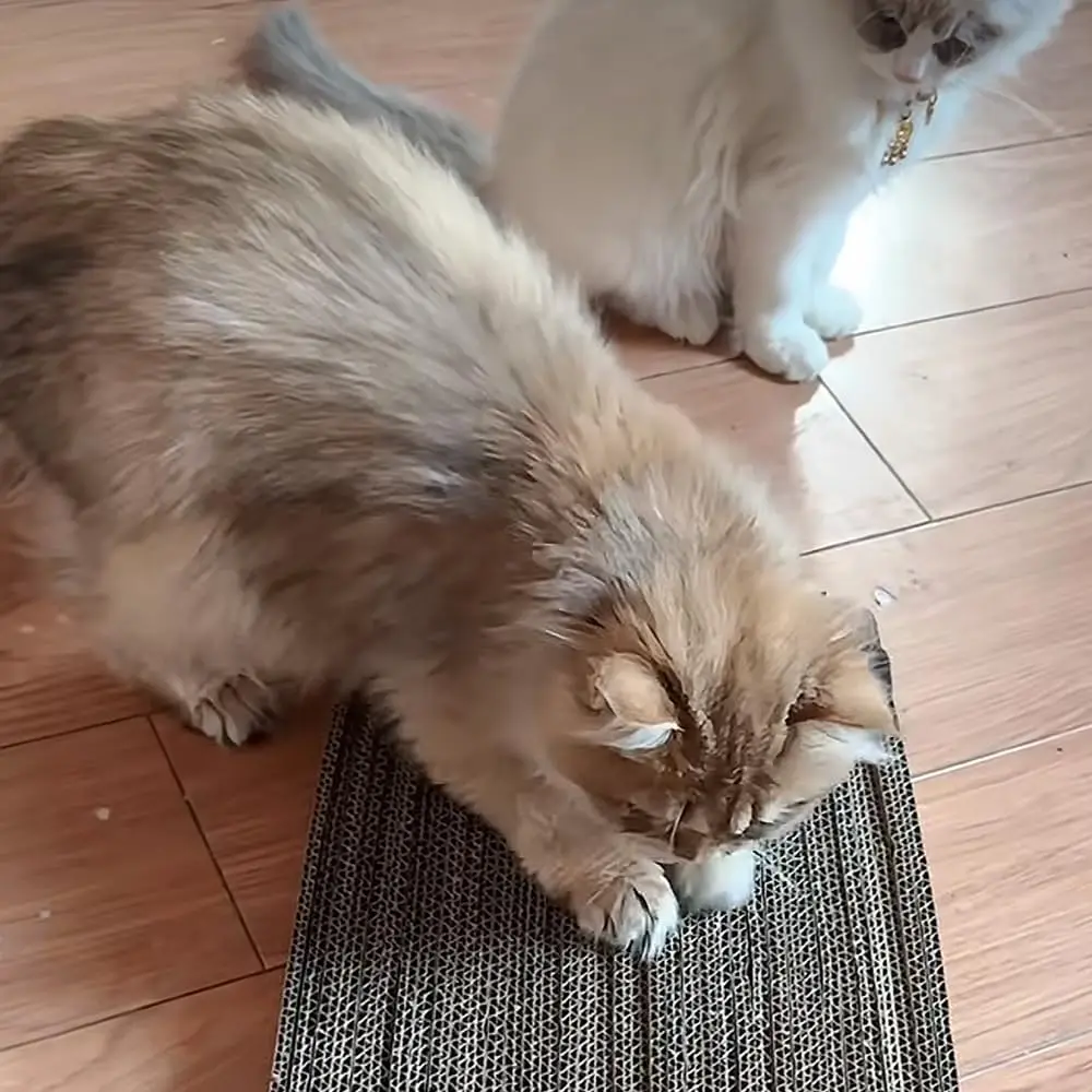 Cardboard Cutting Machine Cat Scratchers Homemade Cardboard Cutter 3D Printing Strip Stripper Plastic Handicraft Diy Home Tools Cardboard Cutting Machine Cat Scratchers Homemade Cardboard Cutter 3D Printing Strip Stripper Plastic Handicraft Diy Home Tools - Image 9