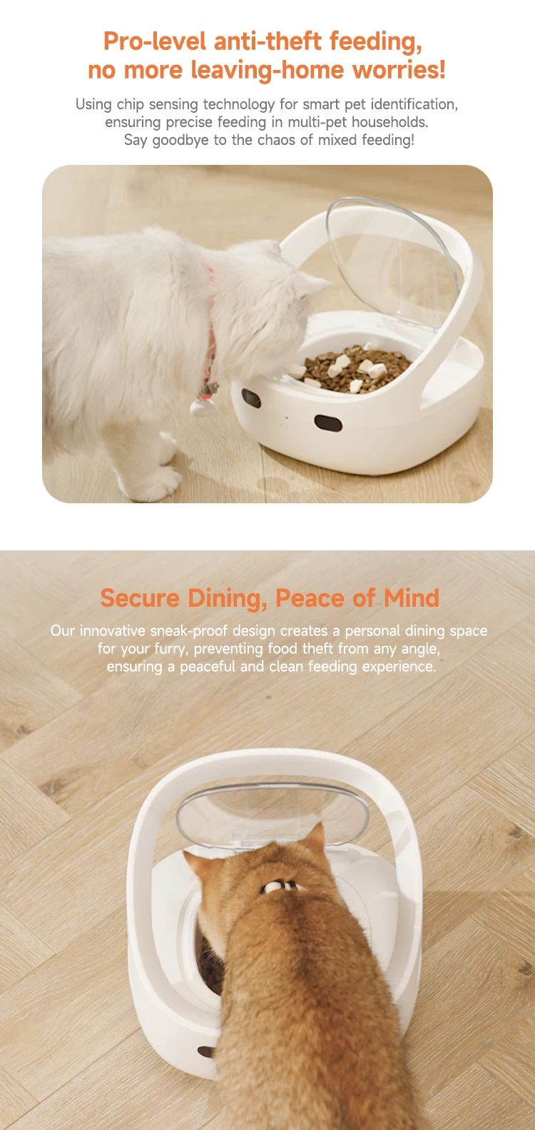 New Petoneer Nutricare Feeder Tailored For Multi-Pet Households Pet Feeder Cat And Dog Feeder With App Global Version New Petoneer Nutricare Feeder Tailored For Multi-Pet Households Pet Feeder Cat And Dog Feeder With App Global Version - Image 11