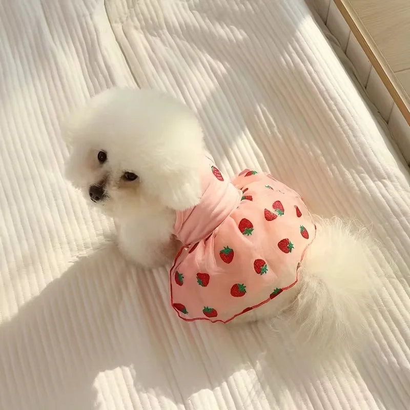 Summer Thin Puppy Princess Skirt Dog Clothes Cute Pet Dog Dress For Small Dogs Chihuahua York Clothing Pet Supplies Summer Thin Puppy Princess Skirt Dog Clothes Cute Pet Dog Dress For Small Dogs Chihuahua York Clothing Pet Supplies - Image 3