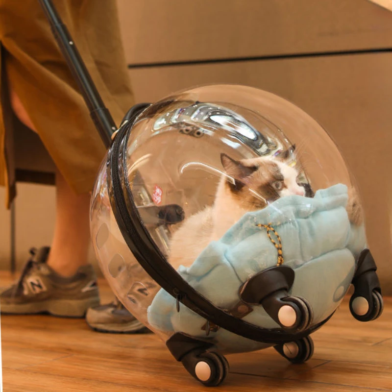 Tragbare Katzentasche Zum Ausgehen, Große Kapazität, Transparent, Atmungsaktiv, Haustier-Trolley, Katzen-Reisetasche, Heimtierbedarf, Katzennest Tragbare Katzentasche Zum Ausgehen, Große Kapazität, Transparent, Atmungsaktiv, Haustier-Trolley, Katzen-Reisetasche, Heimtierbedarf, Katzennest - Image 6