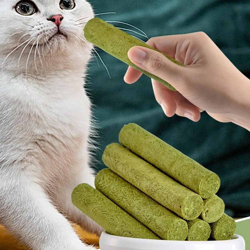 Cat Grass Sticks Grass Chewing Stick Freeze Dried Snacks Mouth Health Teething Digestive Aid Natural Teeth Cleaner Fattening Pet Cat Grass Sticks Grass Chewing Stick Freeze Dried Snacks Mouth Health Teething Digestive Aid Natural Teeth Cleaner Fattening Pet - Image 7