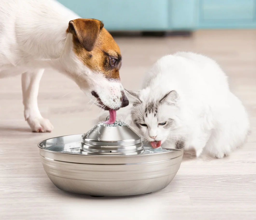 2Lcat Water Fountain Automatic Drinker For Cats Water Feeder Pet Cat Dog Ultra-Quiet Automatic Fountains And Filter Cats Drinker 2Lcat Water Fountain Automatic Drinker For Cats Water Feeder Pet Cat Dog Ultra-Quiet Automatic Fountains And Filter Cats Drinker
