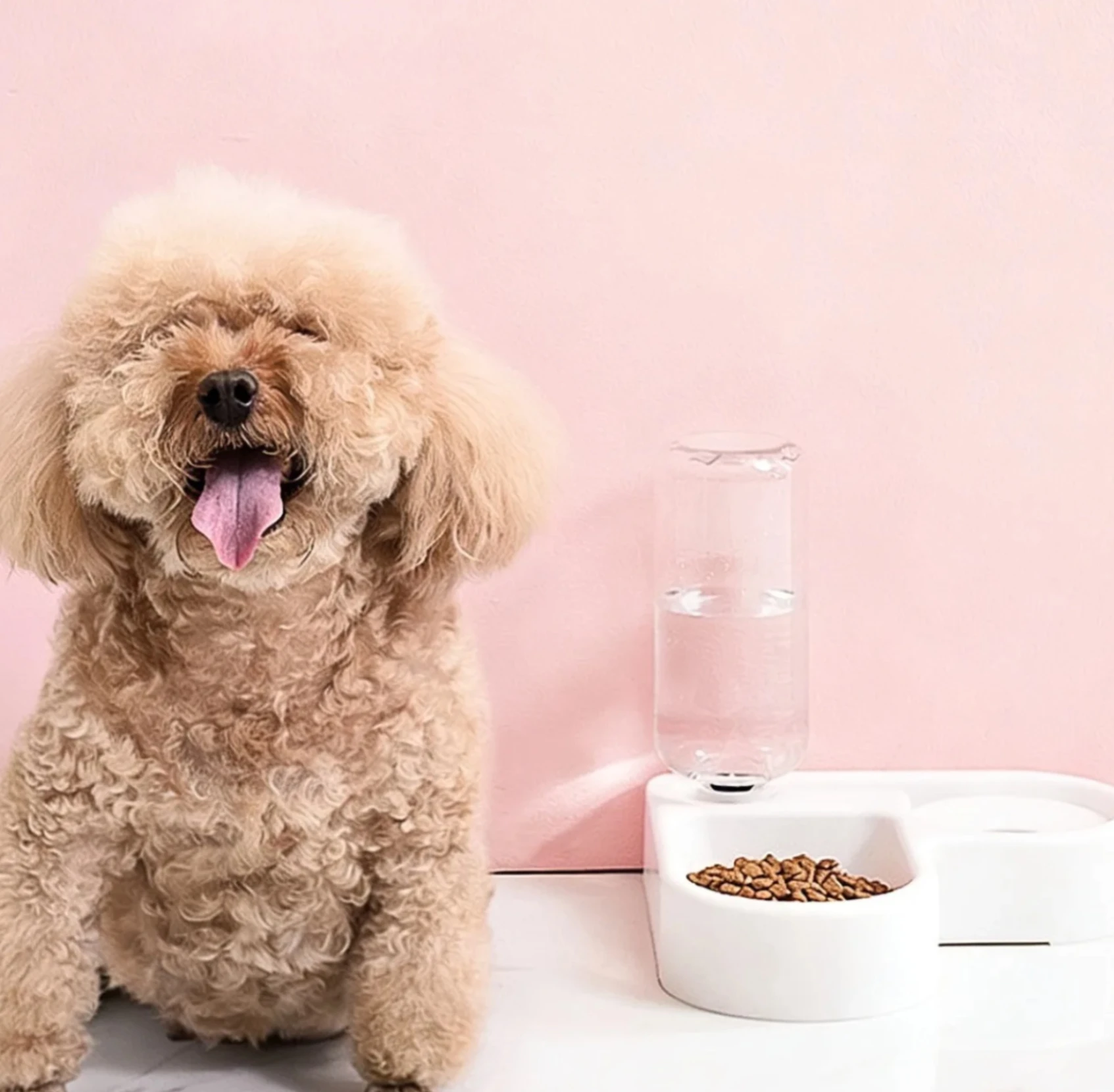 Doppel-Futter- Und Wassernäpfe Für Hunde Und Katzen – Set Mit Futter- Und Wassernäpfen, Geeignet Für Katzen Und Kleine Hunde Doppel-Futter- Und Wassernäpfe Für Hunde Und Katzen – Set Mit Futter- Und Wassernäpfen, Geeignet Für Katzen Und Kleine Hunde