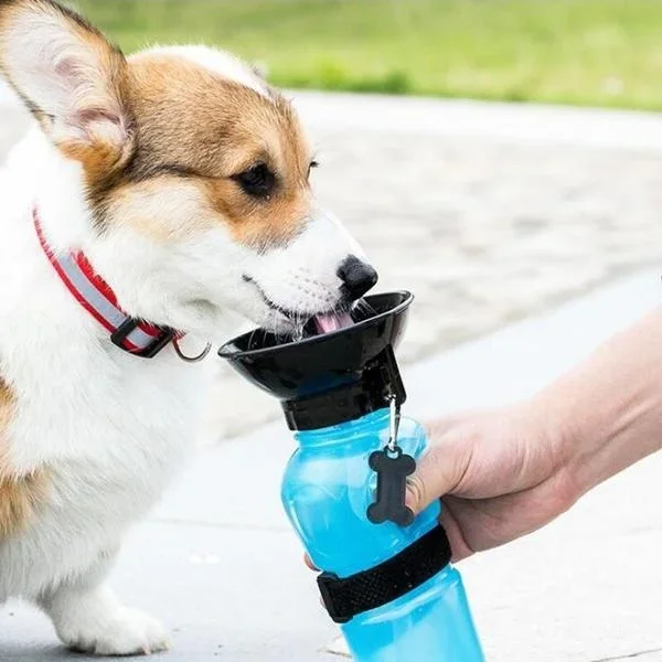 500 Ml Outdoor Tragbare Haustier Hund Wasser Flasche Extrusion Große Hund Reise Wasser Tasse Trinkwasser Feeder Schüssel Für Hund Katze 500 Ml Outdoor Tragbare Haustier Hund Wasser Flasche Extrusion Große Hund Reise Wasser Tasse Trinkwasser Feeder Schüssel Für Hund Katze - Image 6