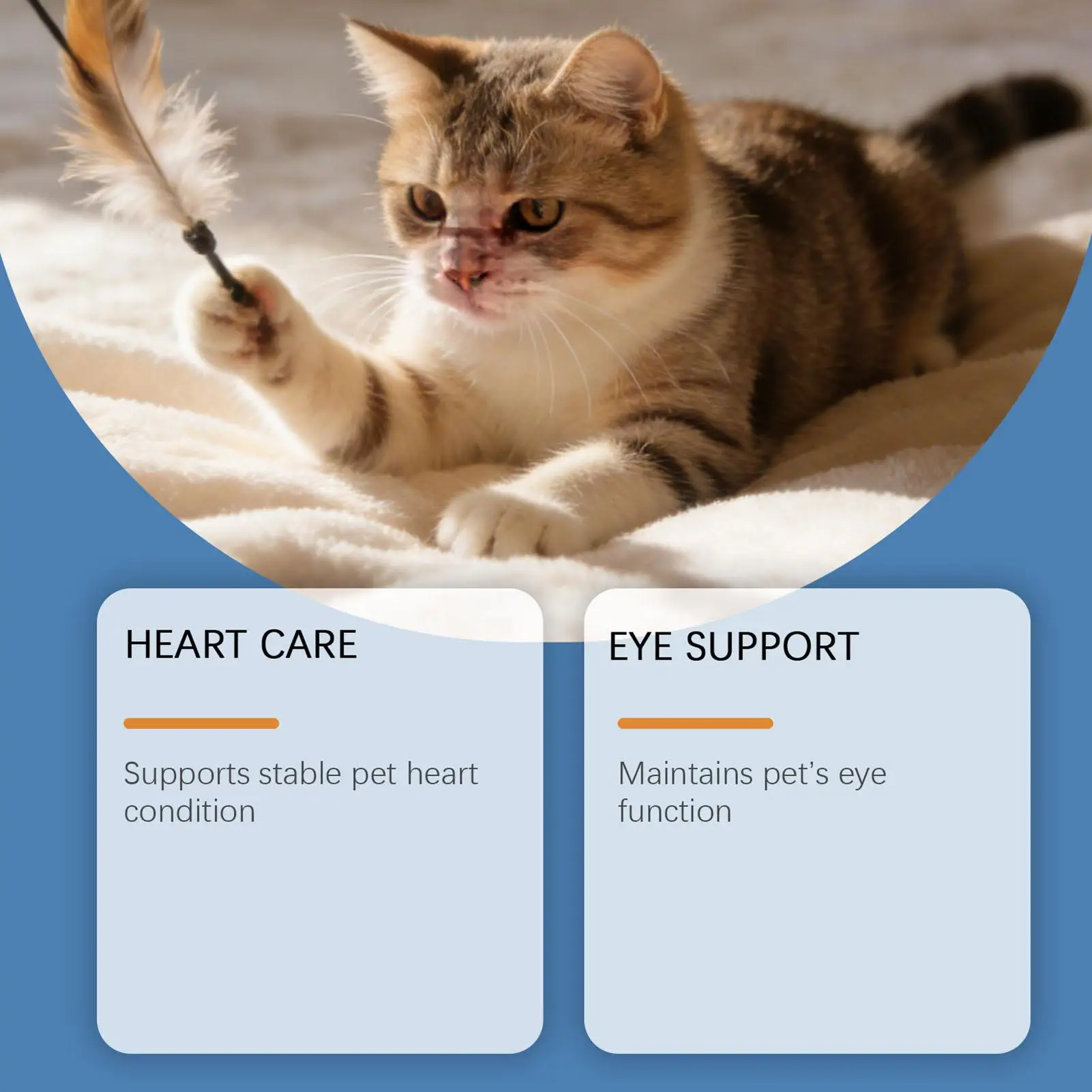 Pet Supplements 200G Daily Nutrition Cats Wet Or Dry Food Supplements For Small Medium Large Breeds Animals Home Travel Shelter Pet Supplements 200G Daily Nutrition Cats Wet Or Dry Food Supplements For Small Medium Large Breeds Animals Home Travel Shelter - Image 11