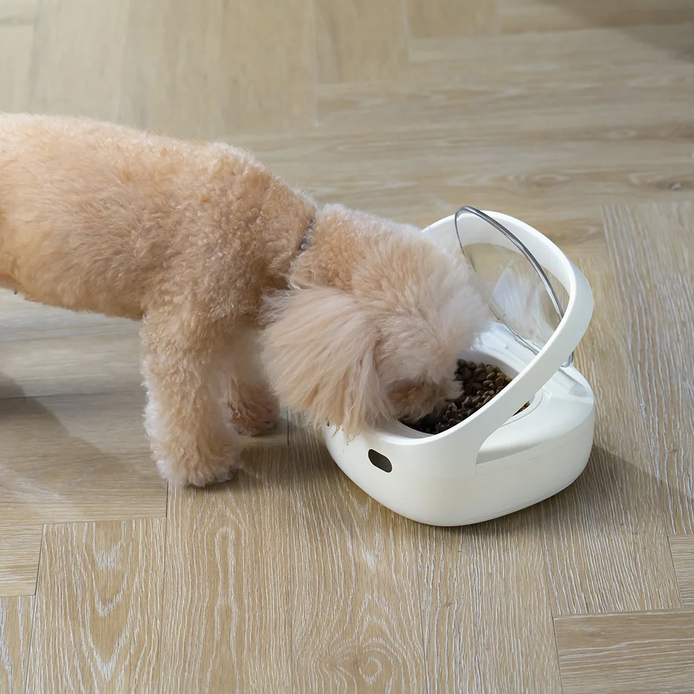 New Petoneer Nutricare Feeder Tailored For Multi-Pet Households Pet Feeder Cat And Dog Feeder With App Global Version New Petoneer Nutricare Feeder Tailored For Multi-Pet Households Pet Feeder Cat And Dog Feeder With App Global Version - Image 4