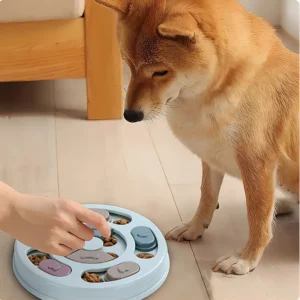 Interaktiver Futterspender für Hunde: Lernspielzeug zur Förderung der Intelligenz von Welpen