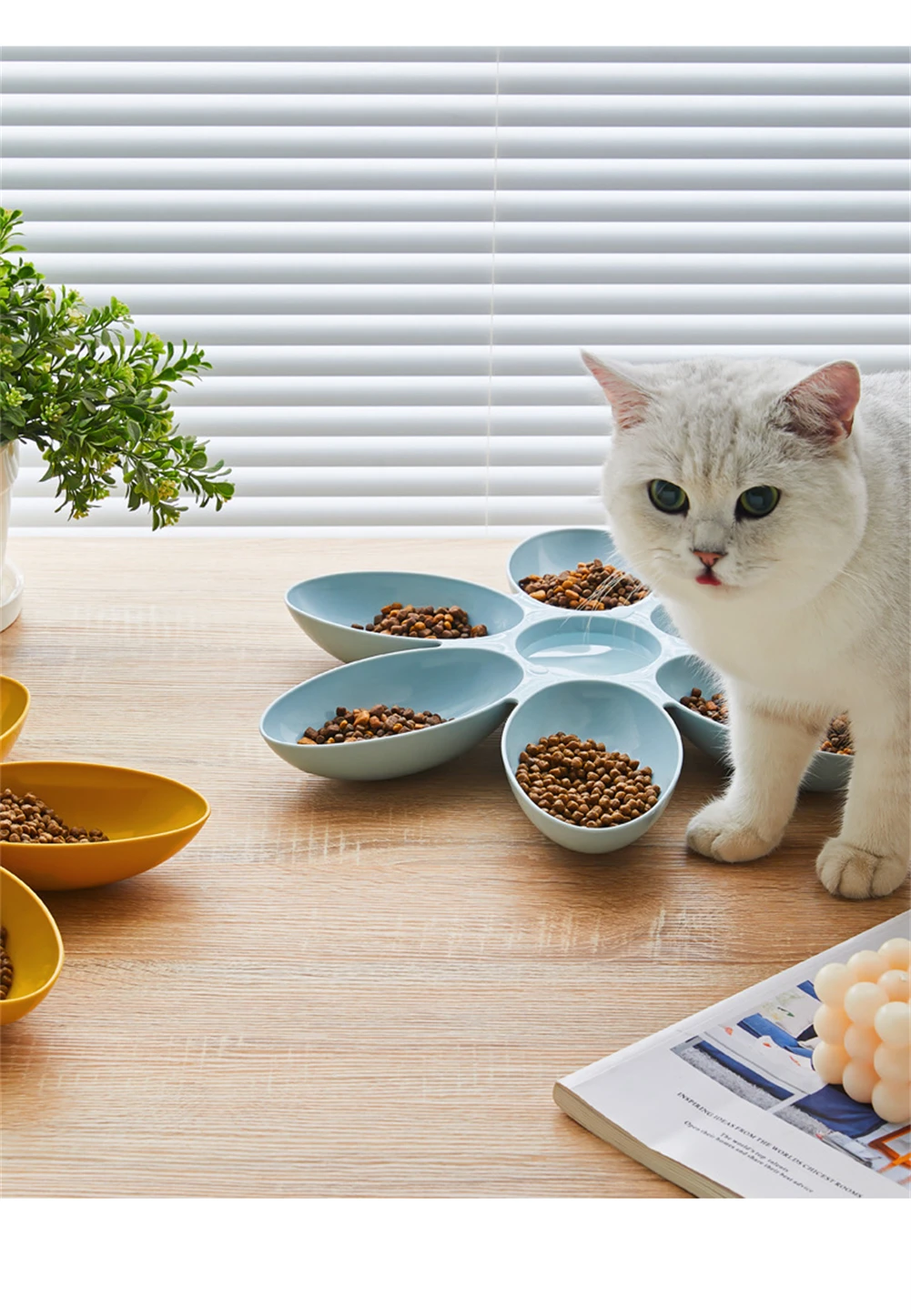 Cat Bowl Multi Cat Petal Food Bowl Baby Cat Milk Cat Special Bowl Multi Functional Cat And Dog Food Bowl Upgrade Pet Lunch Time Cat Bowl Multi Cat Petal Food Bowl Baby Cat Milk Cat Special Bowl Multi Functional Cat And Dog Food Bowl Upgrade Pet Lunch Time - Image 3
