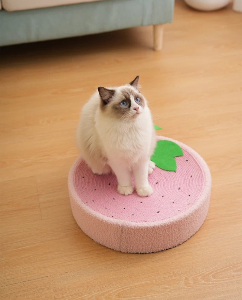 Cat Scratcher 2 In 1 Cat Anti Scratch Bed Cute Shape Cat Scratching Bed Round Cat Scratch Protection Paw Toy Gatos Accesorios Cat Scratcher 2 In 1 Cat Anti Scratch Bed Cute Shape Cat Scratching Bed Round Cat Scratch Protection Paw Toy Gatos Accesorios - Image 30