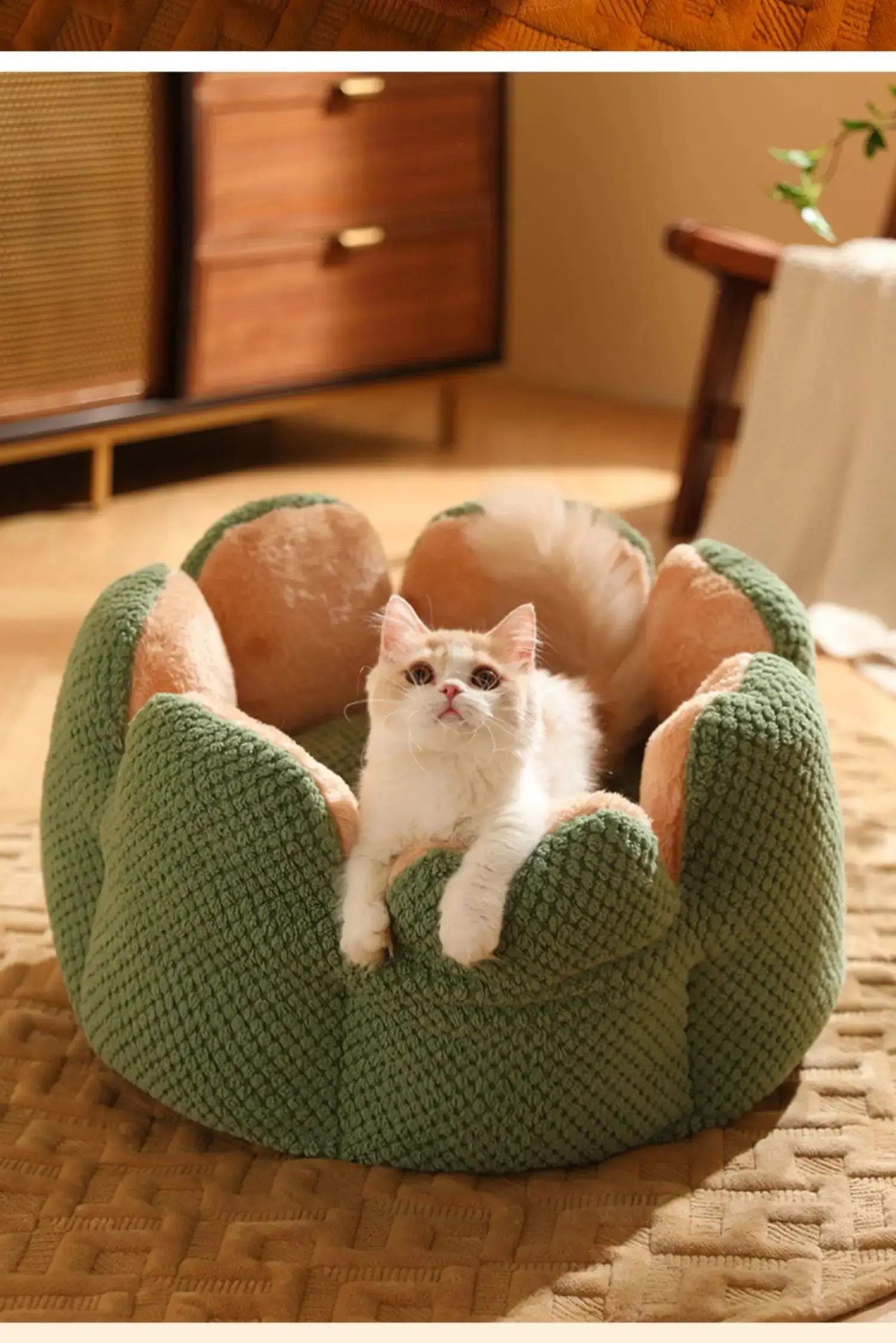 Petal Shaped Pet Bed, Plush Round Dog &Amp; Cat Cushion Mat With Knitted Texture, Ultra Soft Warm Nest For Kittens Puppies In Winter Petal Shaped Pet Bed, Plush Round Dog &Amp; Cat Cushion Mat With Knitted Texture, Ultra Soft Warm Nest For Kittens Puppies In Winter - Image 25