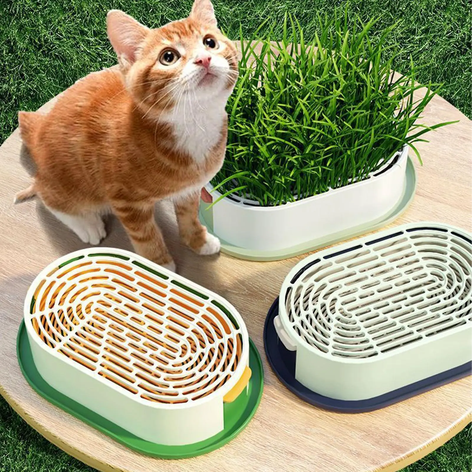 Cat Snack Grass Box Cat Catnip Grass Grow Station Soilless Planting Cat Grass Pot For Kitten Snack Pet Eating Cat Snack Grass Box Cat Catnip Grass Grow Station Soilless Planting Cat Grass Pot For Kitten Snack Pet Eating - Image 2