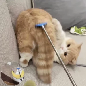 Katzen-Teasing-Stick-Spielzeug: Interaktives Massage- und Kratzspielzeug zur Linderung von Langeweile und Juckreiz – Ausziehbarer Kamm und Bürste für Katzenpflege