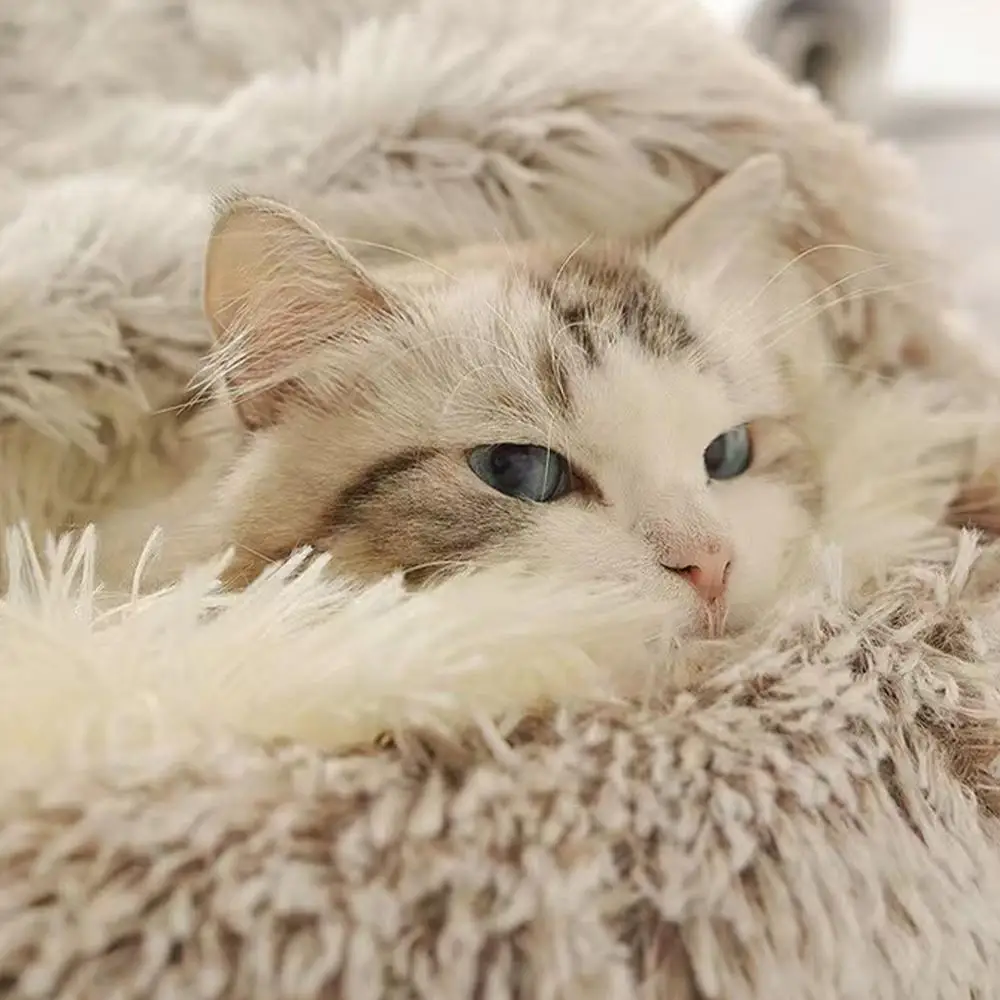 Winter Plush Pet Cat Bed Round Cat Cushion Cat House Warm Cats Basket Pet Sleep Bag Kitten Nest Kennel For Pet Dog Cats Winter Plush Pet Cat Bed Round Cat Cushion Cat House Warm Cats Basket Pet Sleep Bag Kitten Nest Kennel For Pet Dog Cats - Image 4