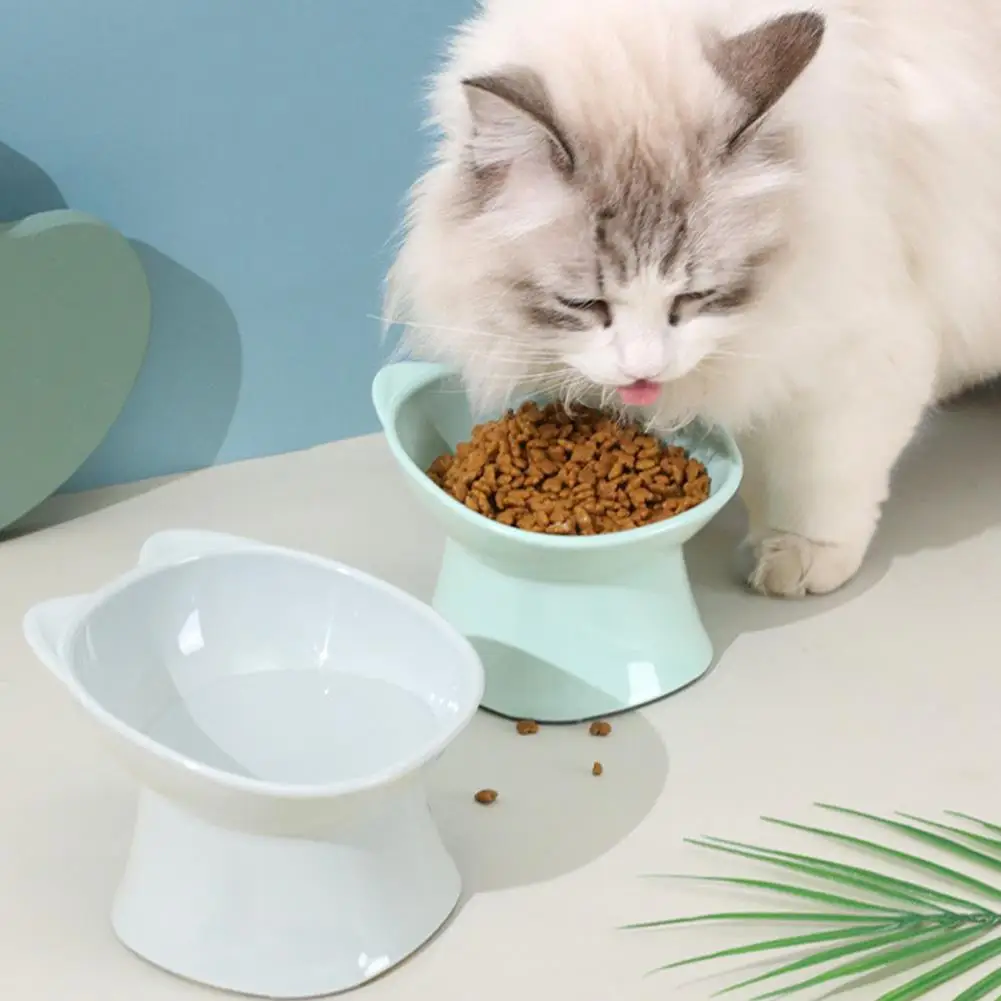 Tilted Cat Food Bowl Anti Vomiting Orthopedic Elevated Cat Dish Whisker Friendly Ceramic Pet Feeder For Small Pets Tilted Cat Food Bowl Anti Vomiting Orthopedic Elevated Cat Dish Whisker Friendly Ceramic Pet Feeder For Small Pets - Image 18