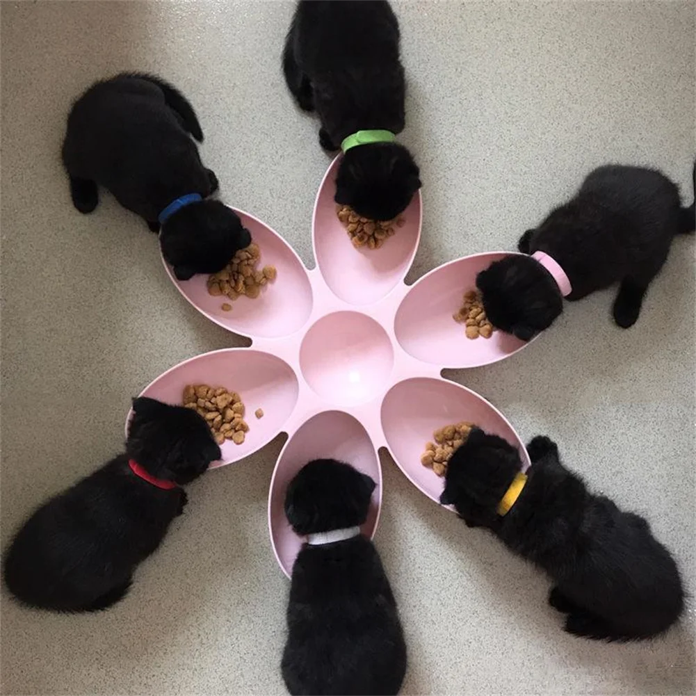 Cat Bowl Multi Cat Petal Food Bowl Baby Cat Milk Cat Special Bowl Multi Functional Cat And Dog Food Bowl Upgrade Pet Lunch Time Cat Bowl Multi Cat Petal Food Bowl Baby Cat Milk Cat Special Bowl Multi Functional Cat And Dog Food Bowl Upgrade Pet Lunch Time - Image 5