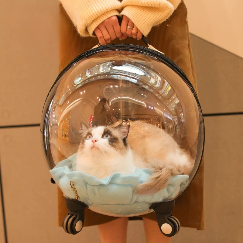 Tragbare Katzentasche Zum Ausgehen, Große Kapazität, Transparent, Atmungsaktiv, Haustier-Trolley, Katzen-Reisetasche, Heimtierbedarf, Katzennest Tragbare Katzentasche Zum Ausgehen, Große Kapazität, Transparent, Atmungsaktiv, Haustier-Trolley, Katzen-Reisetasche, Heimtierbedarf, Katzennest - Image 4