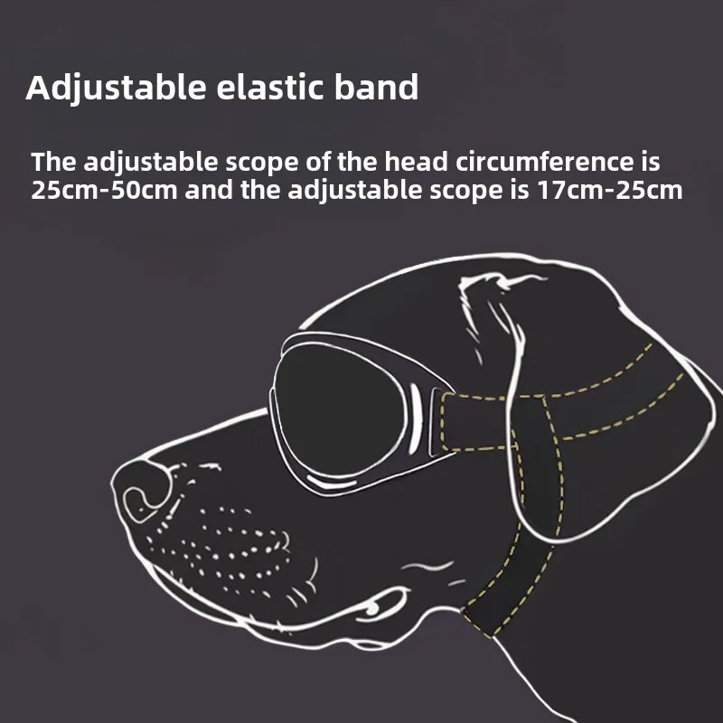 Haustier Verstellbare Hundebrille Sonnenbrille Anti-Uv-Sonnenbrille Augenschutz Schwarz Weit Verbreitete Hunde-Sonnenbrille Haustier-Hundebedarf Haustier Verstellbare Hundebrille Sonnenbrille Anti-Uv-Sonnenbrille Augenschutz Schwarz Weit Verbreitete Hunde-Sonnenbrille Haustier-Hundebedarf - Image 6