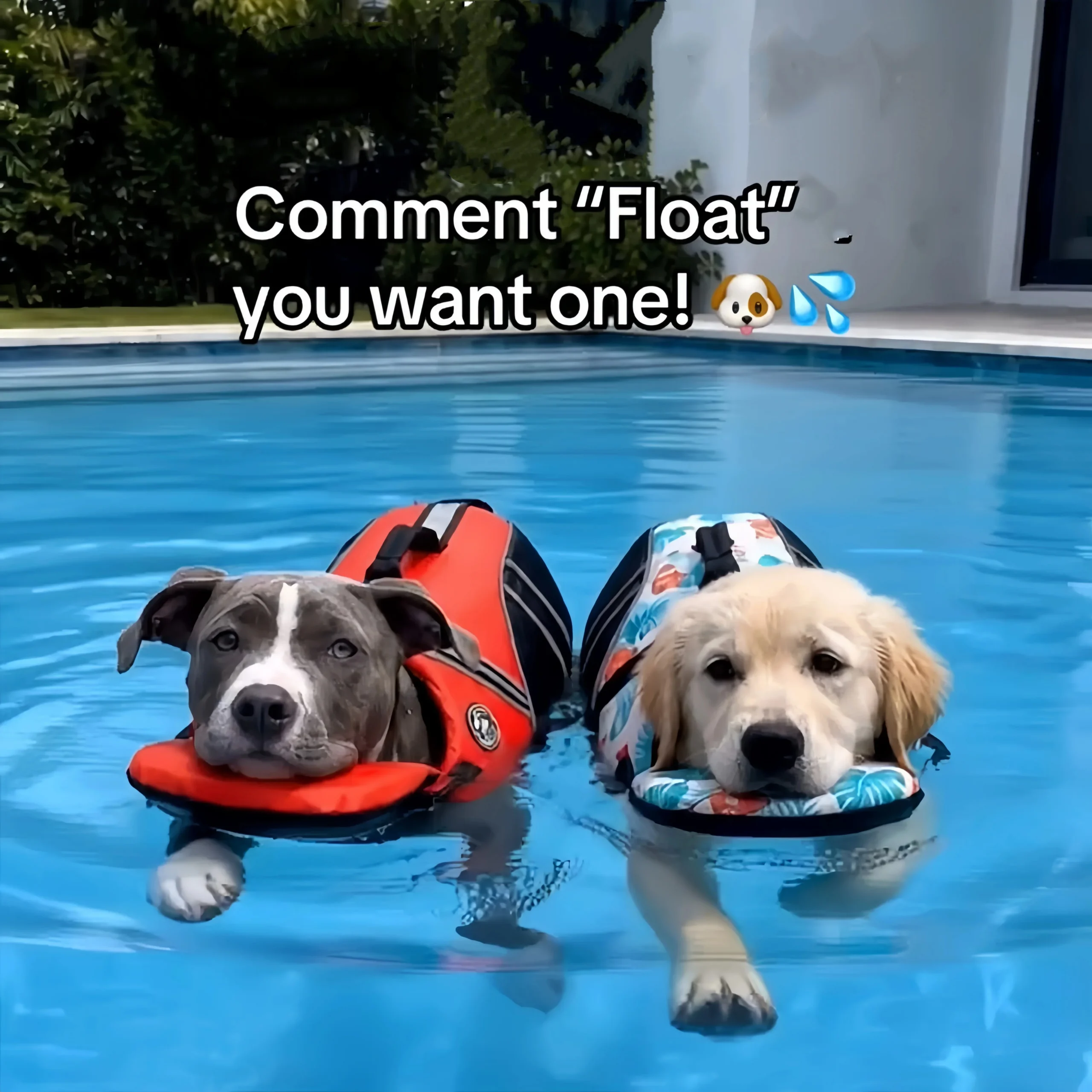 Hundeschwimmweste Mit Kinnstütze, Auftriebsanzug Für Kleine Und Mittelgroße Hunde Zur Verhinderung Des Ertrinkens J095 Hundeschwimmweste Mit Kinnstütze, Auftriebsanzug Für Kleine Und Mittelgroße Hunde Zur Verhinderung Des Ertrinkens J095