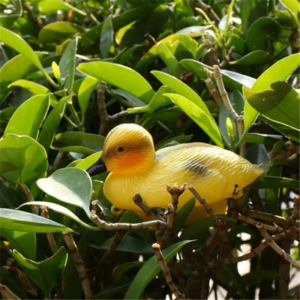 Baby Duckings Schwimm Decoy Enten Angeln Tackles Kunststoff Garten Dekoration Jagd Stockente Kunststoff Ornament Teich Koi Fisch