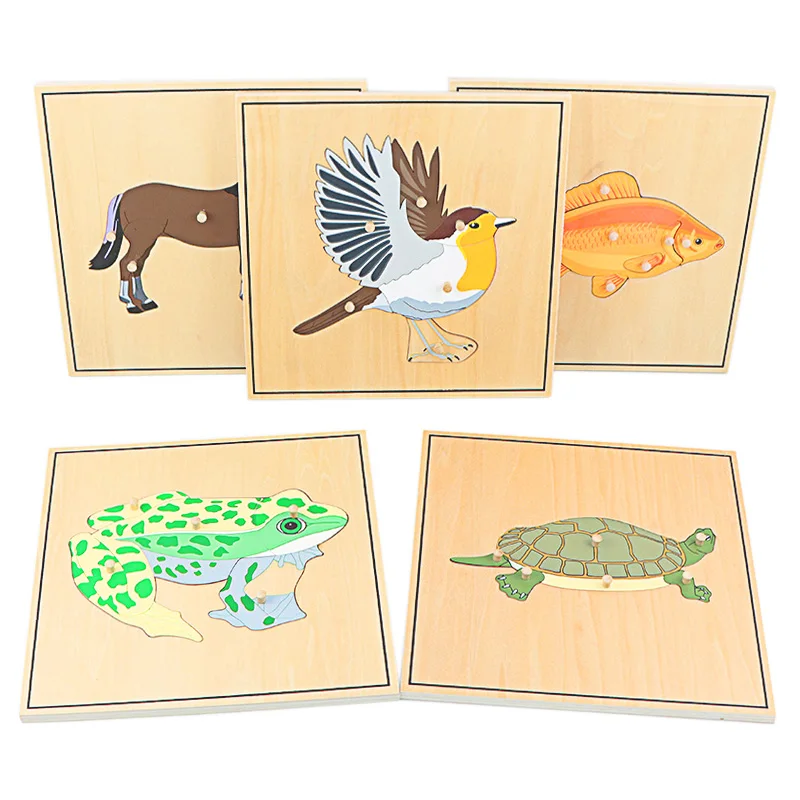 Kinder Pädagogisches Spielzeug Montessori Materialien Biologie Holz Skelett Puzzle Frosch Pferd Tortiose Fisch Vogel Tier Spielzeug Für Jungen Kinder Pädagogisches Spielzeug Montessori Materialien Biologie Holz Skelett Puzzle Frosch Pferd Tortiose Fisch Vogel Tier Spielzeug Für Jungen