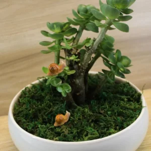 Simulation Animal  Micro Landscape Succulent Handicraft Fairy Snail Ornament Miniature Figurine Resin Craft Snail Model