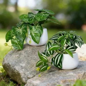 1 Stück Künstliche Grünpflanze im Topf Bonsai Party Mall Heim Schreibtisch Büro Deko Kleiner Bonsai Kunstblume im Topf Heimdekoration